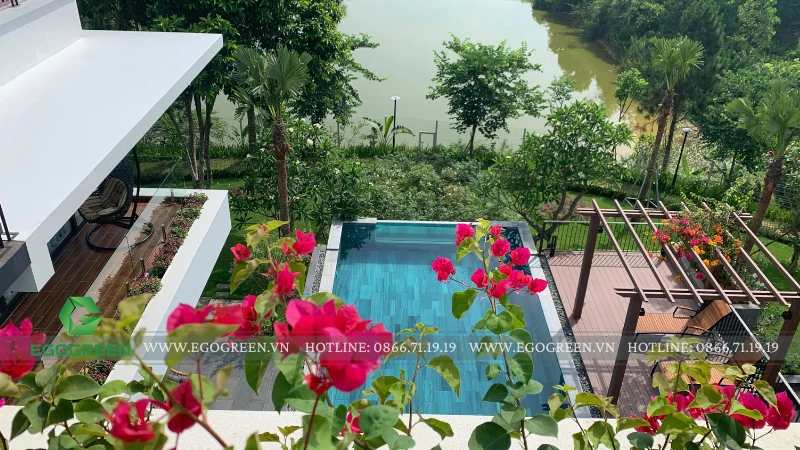 Cây xanh và mặt nước trong resort tác động thế nào đến cảm xúc du khách?